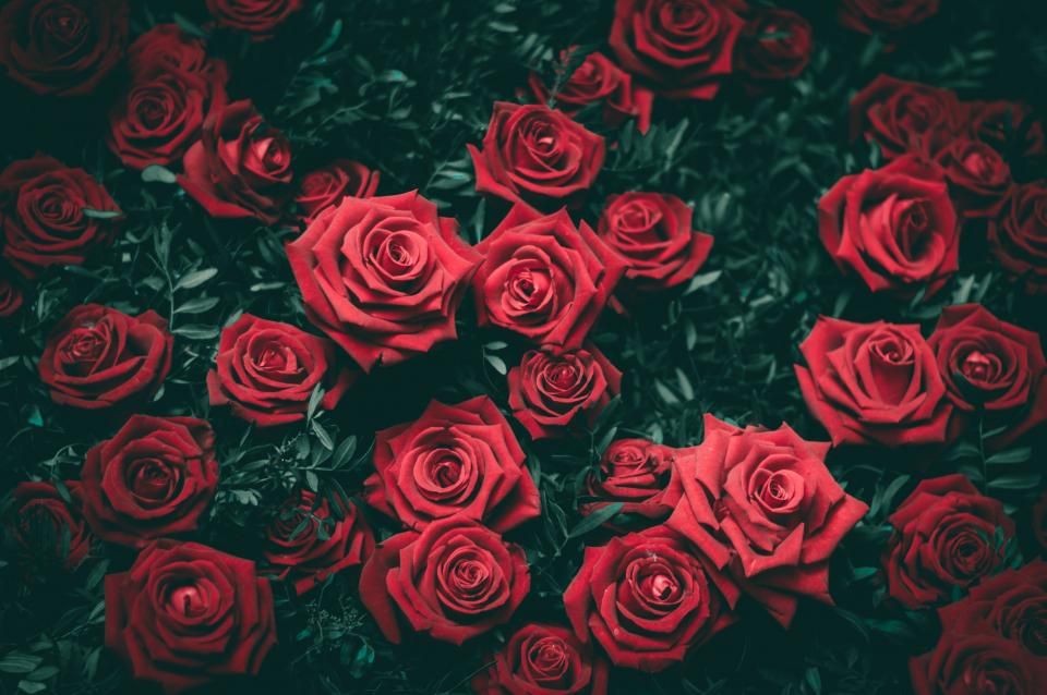 El amor está en los detalles