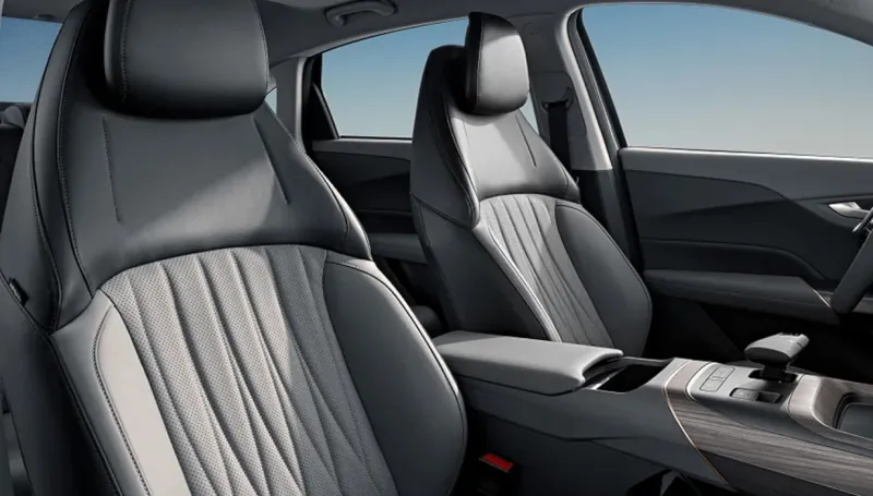 Changan EADO PLUS IDD foto 4