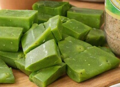 Nopal